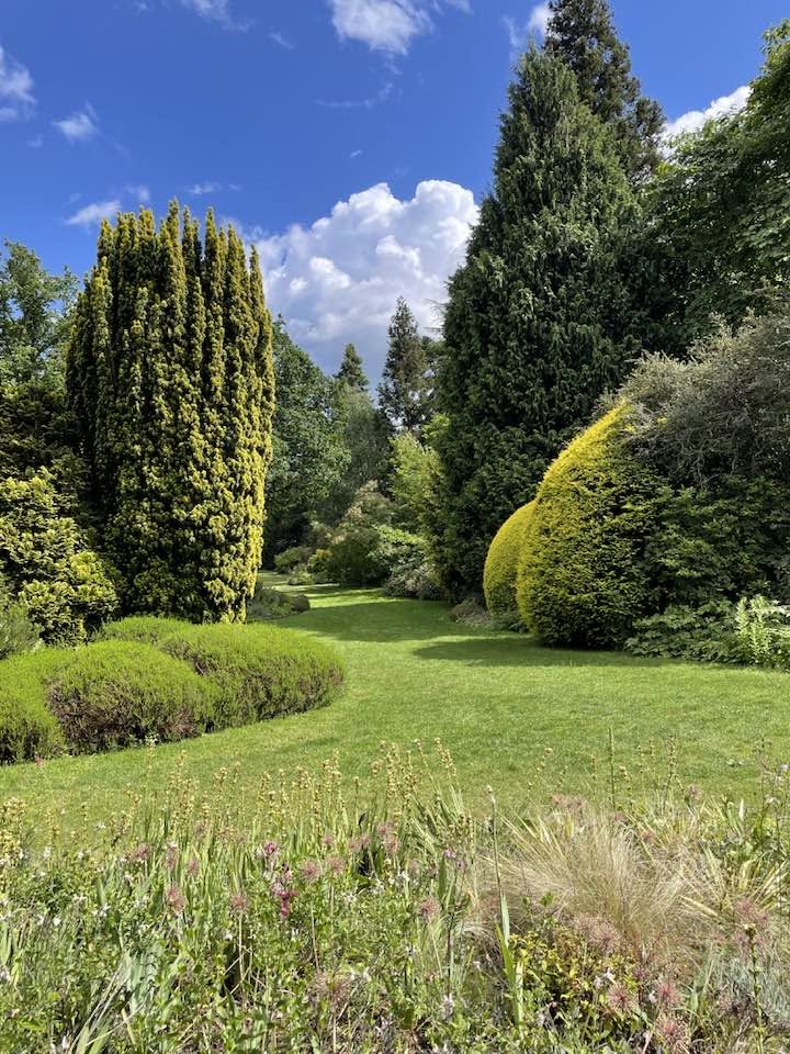 Great Comp Garden